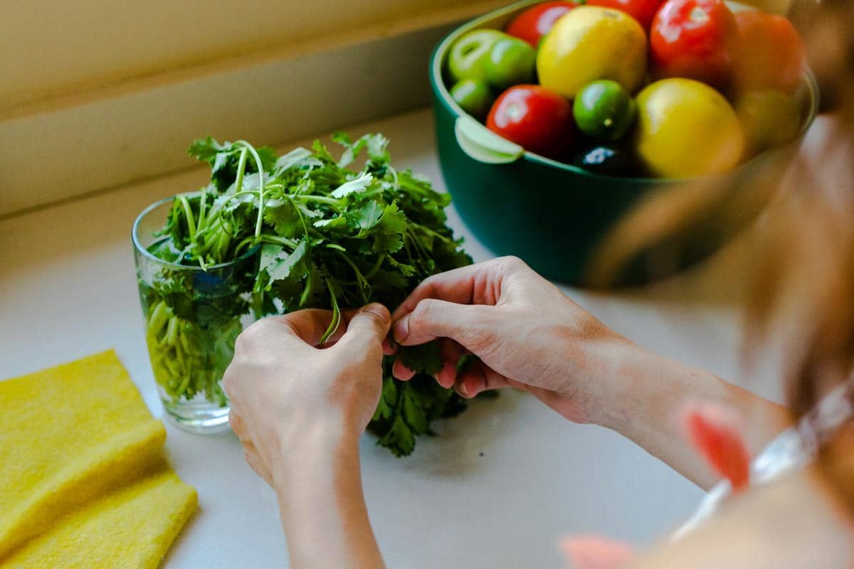 ilustrasi membuat cilantro lime dressing