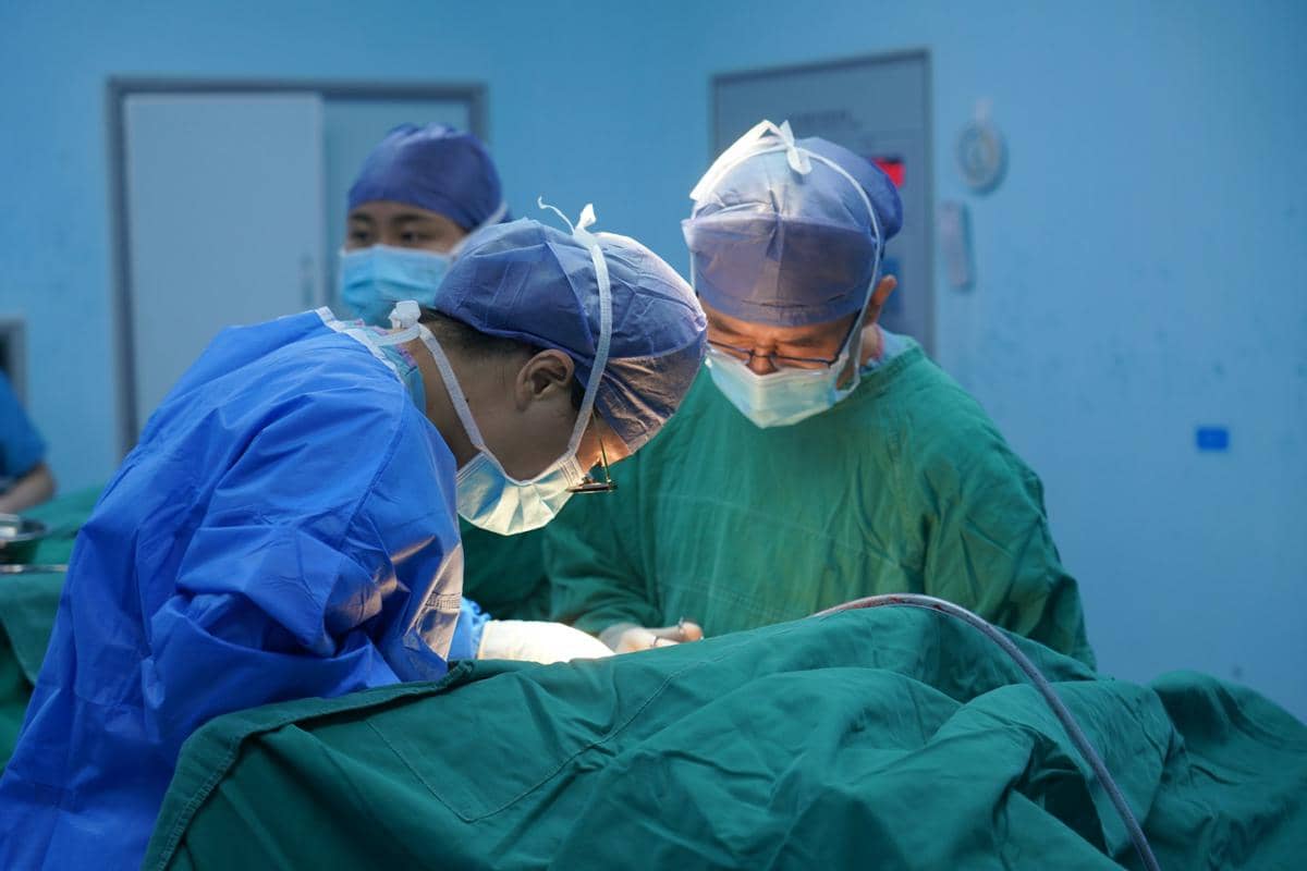 Bagaimana Proses Transplantasi Organ Dilakukan?