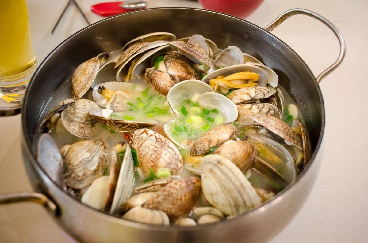 ilustrasi clam