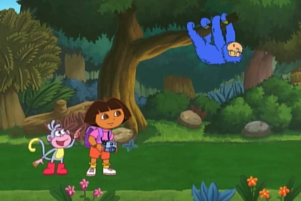 Dora dan Boots bekerja sama mencari keberadaan hewan liar di hutan untuk bisa memenangkan kontes foto
