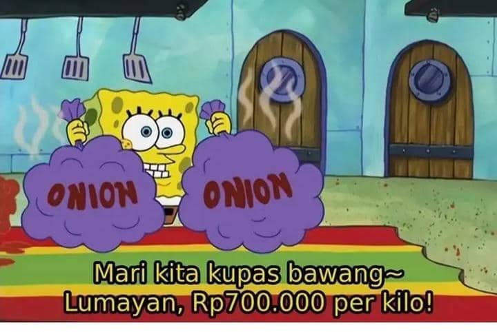 7 Meme Pengupas Bawang Bergaji 700 Ribu, Guru Honorer Kalah Jauh?