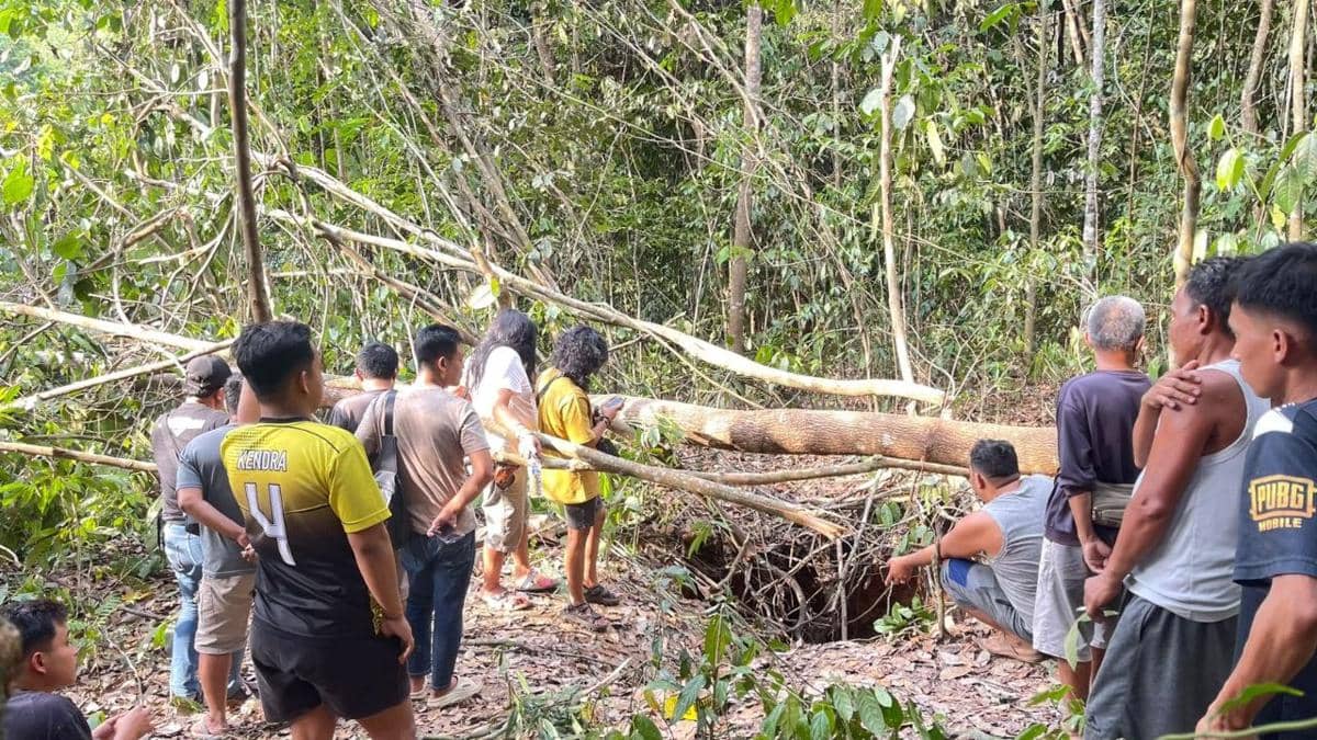 Buka Lahan, Pekerja di Muba Temukan Tengkorak dan Tulang Manusia