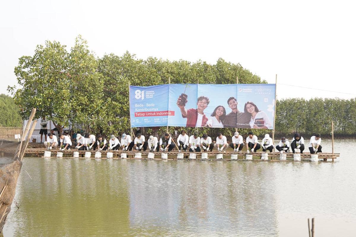 Maknai 81 Tahun Kemerdekaan, InJourney Airports Tanam 81 Ribu Mangrove