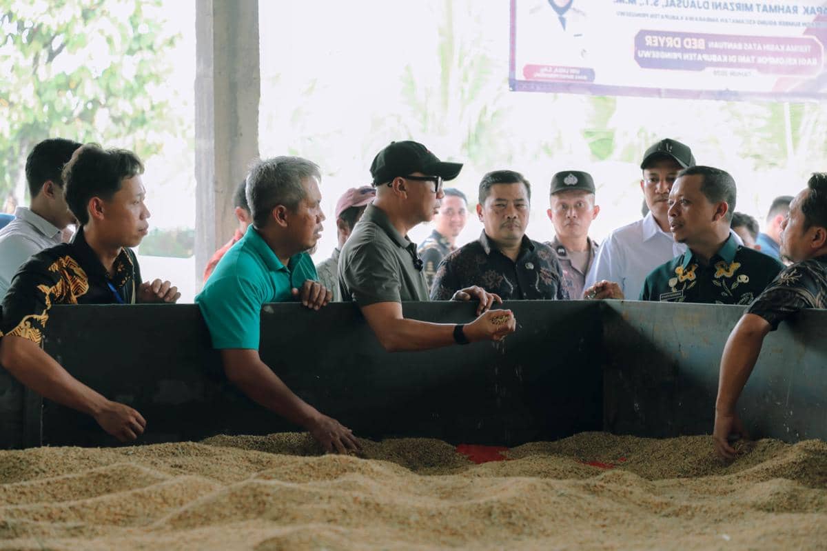 Bed Dryer, Solusi Proses Pengeringan Gabah Petani Lampung