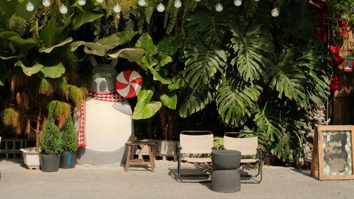5 Tanaman yang Bentuk Daunnya Bikin Rumah Terlihat Lebih Eksotis