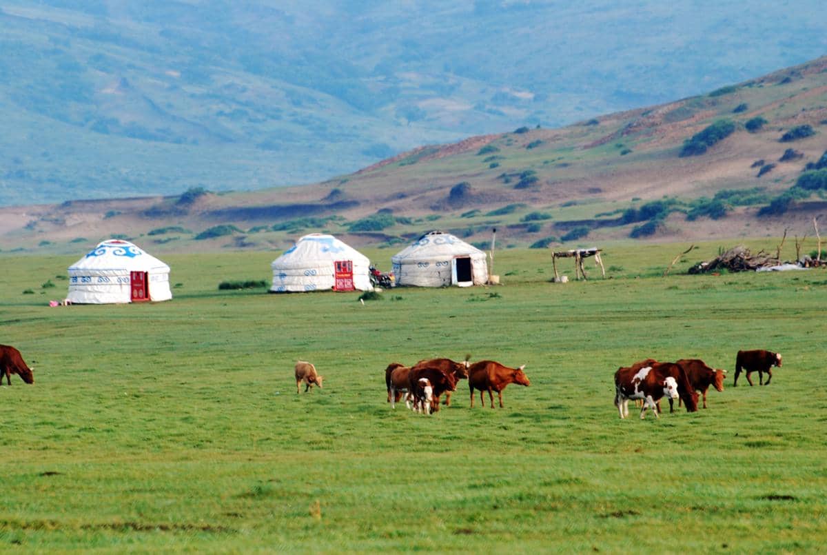 Yurt di padang rumput