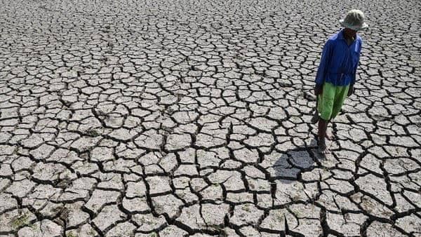 Dampak kekeringan pada lahan Indonesia
