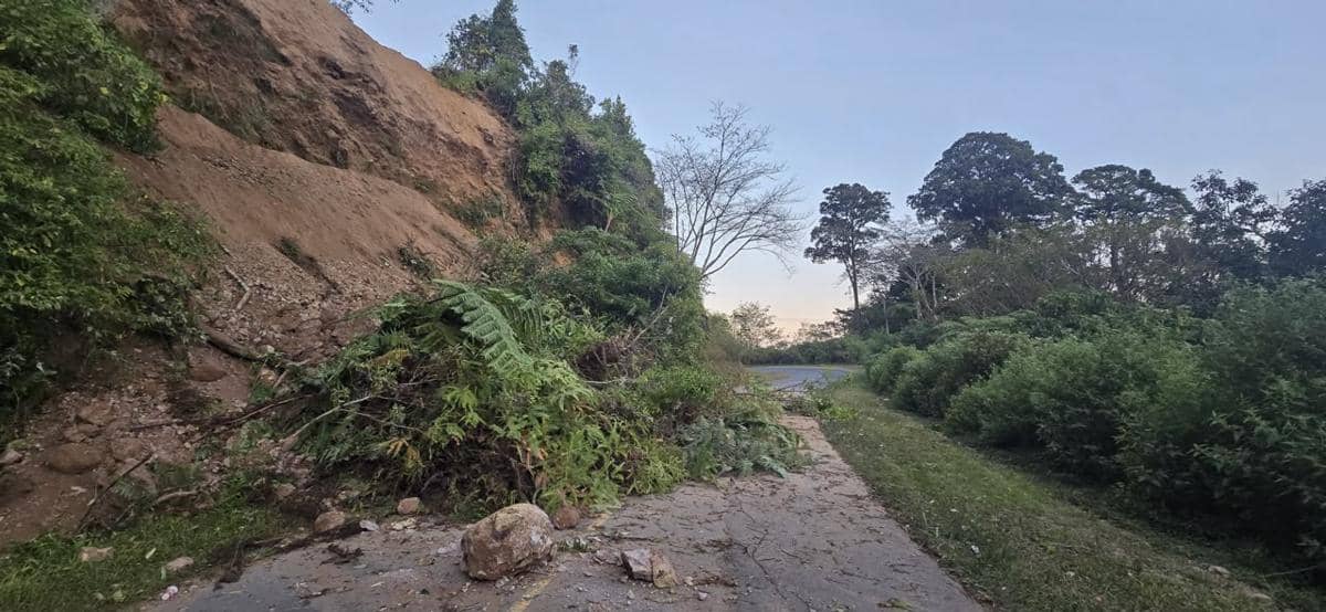 Cerita Direktur SDM Pupuk Indonesia Kena Gempa NTT, Jalanan Terputus
