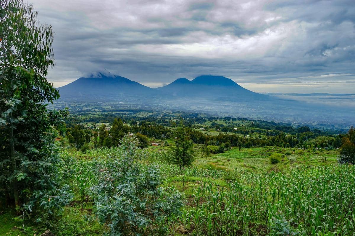 potret national park di Rwanda