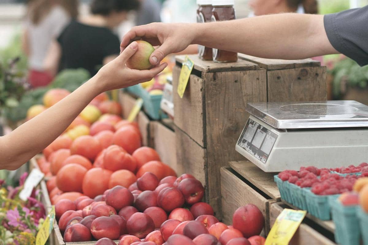 membeli buah-buahan lokal