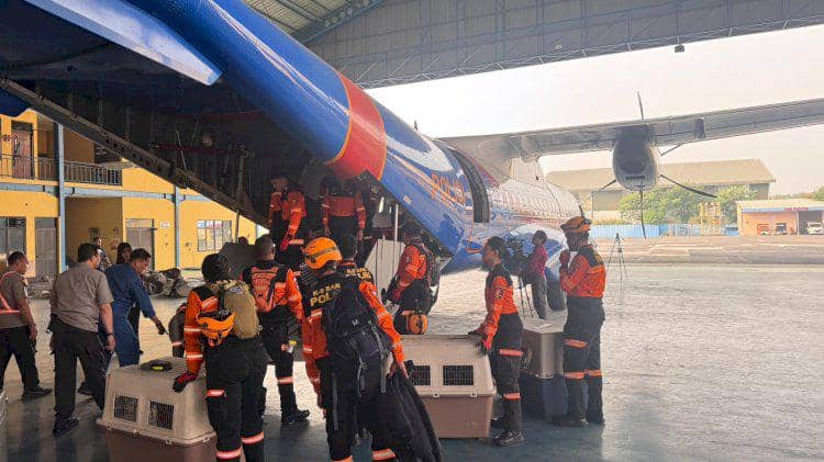 Polri Kirim 10 Anjing Pelacak K9 dan Bantuan ke Flores