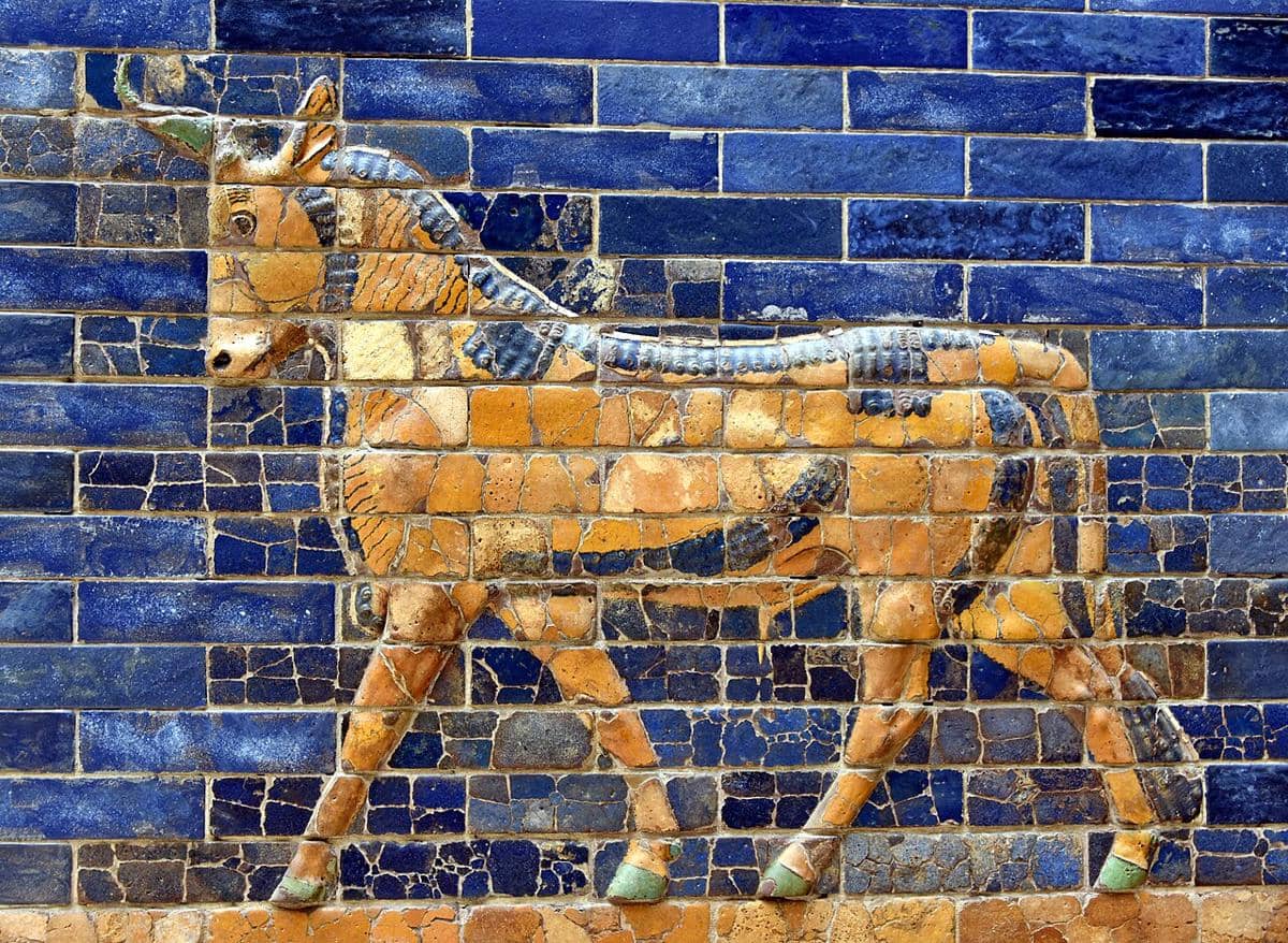 Aurochs