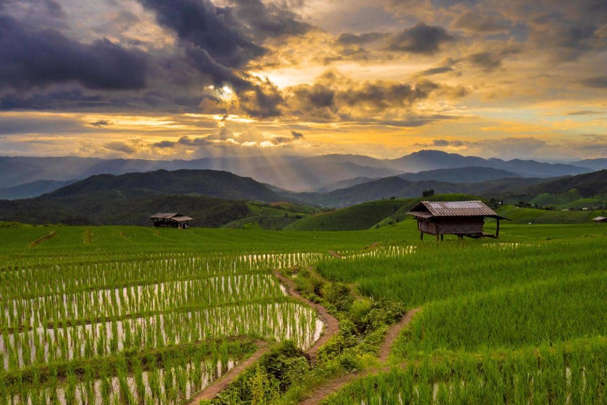 [PUISI] Negeri yang Kupanggil Pulang