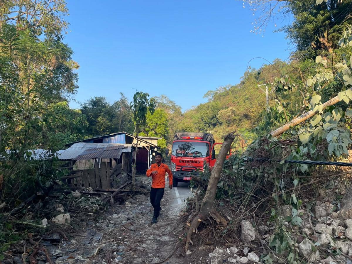 Longsor, Tim SAR Buka Jalur Kritikal Evakuasi Korban Gempa di Nagekeo