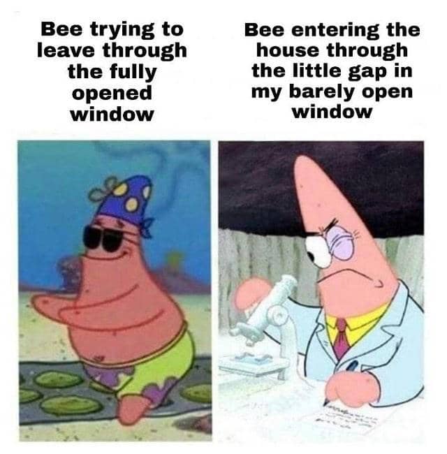 meme SpongeBob tentang rumah