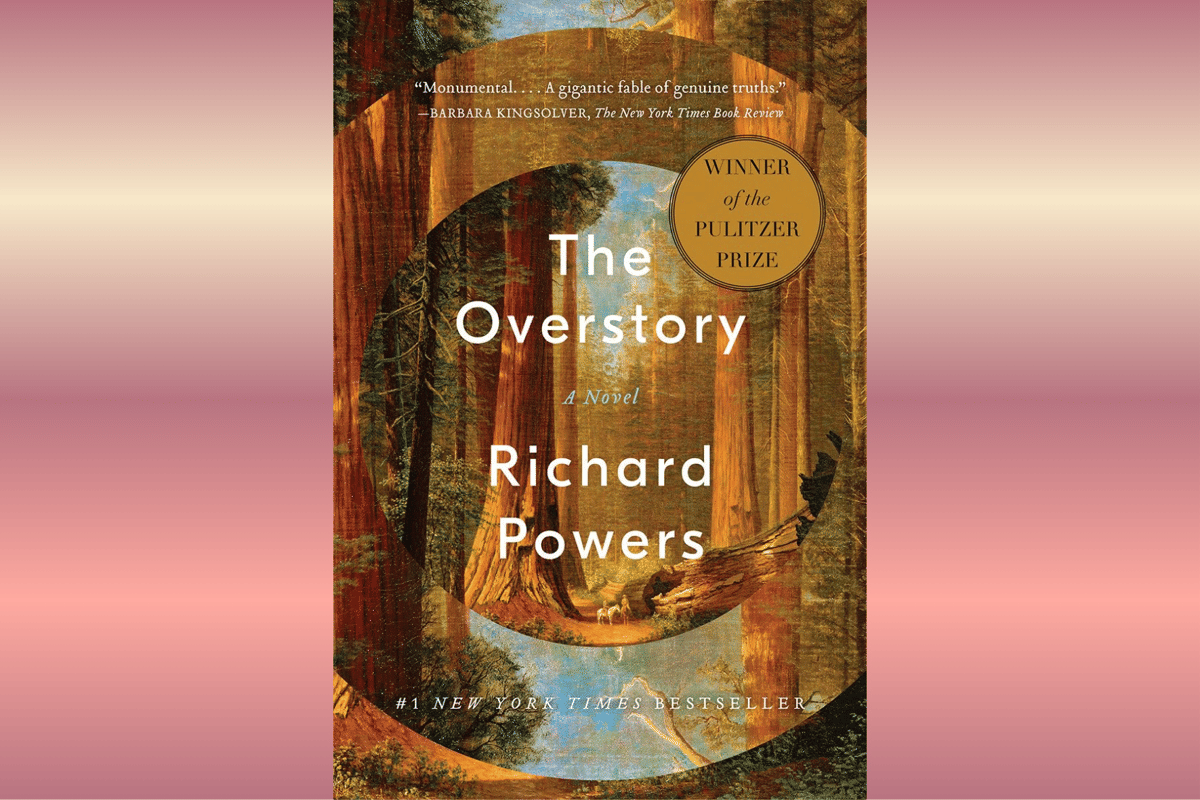 The Overstory.