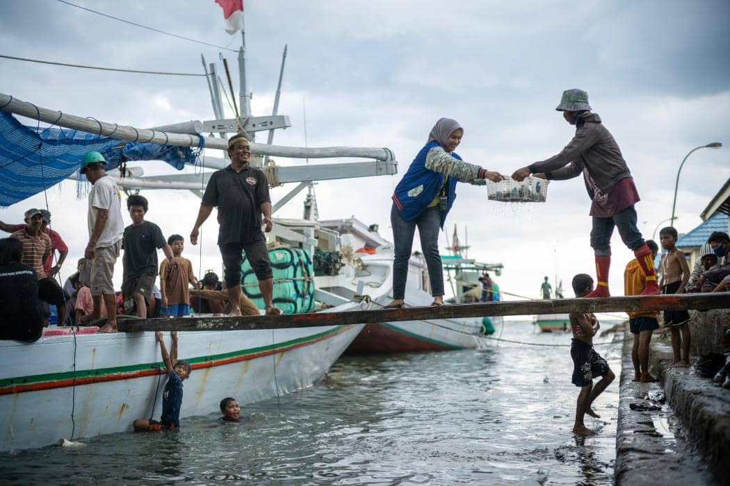 HUT ke-81 RI, BRI Perkuat Layanan dari Perbatasan hingga Pulau Terluar