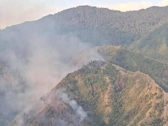 Kebakaran di Gunung Nona Enrekang, 10 Hektare Hutan Hangus