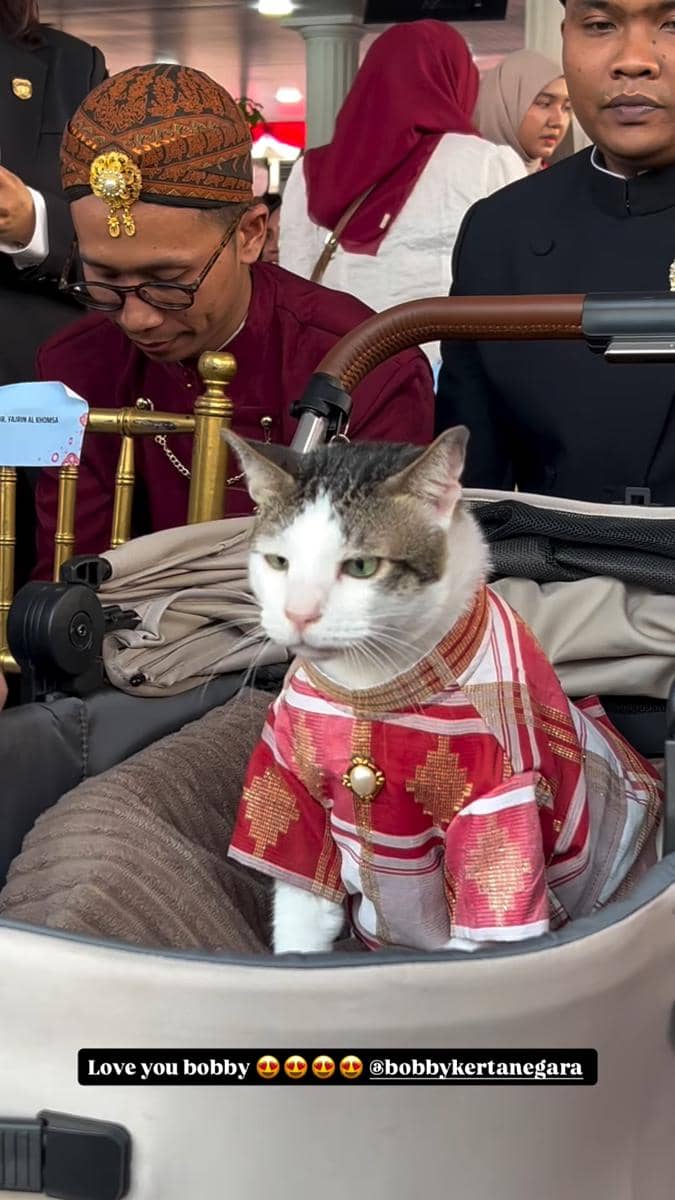 Kucing Bobby Kertanegara berada di upacara bendera yang berlangsung di Istana Merdeka pada tahun 2026.