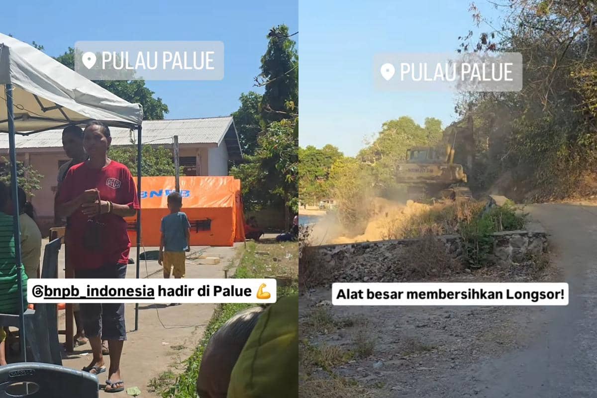 Andovi da Lopez jadi relawan ke NTT 
