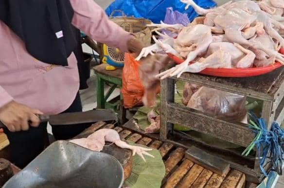 Harga Ayam di Ngawi Tembus Rp43 Ribu, Pedagang: Jualan Makin Sepi