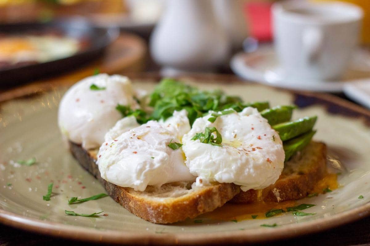 ilustrasi poached eggs