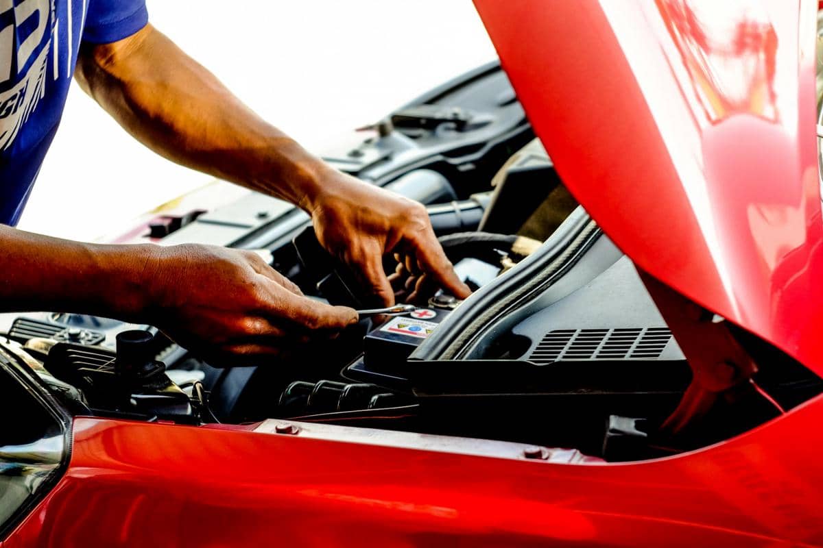 Cara yang efektif untuk mengusir tikus di kap mobil