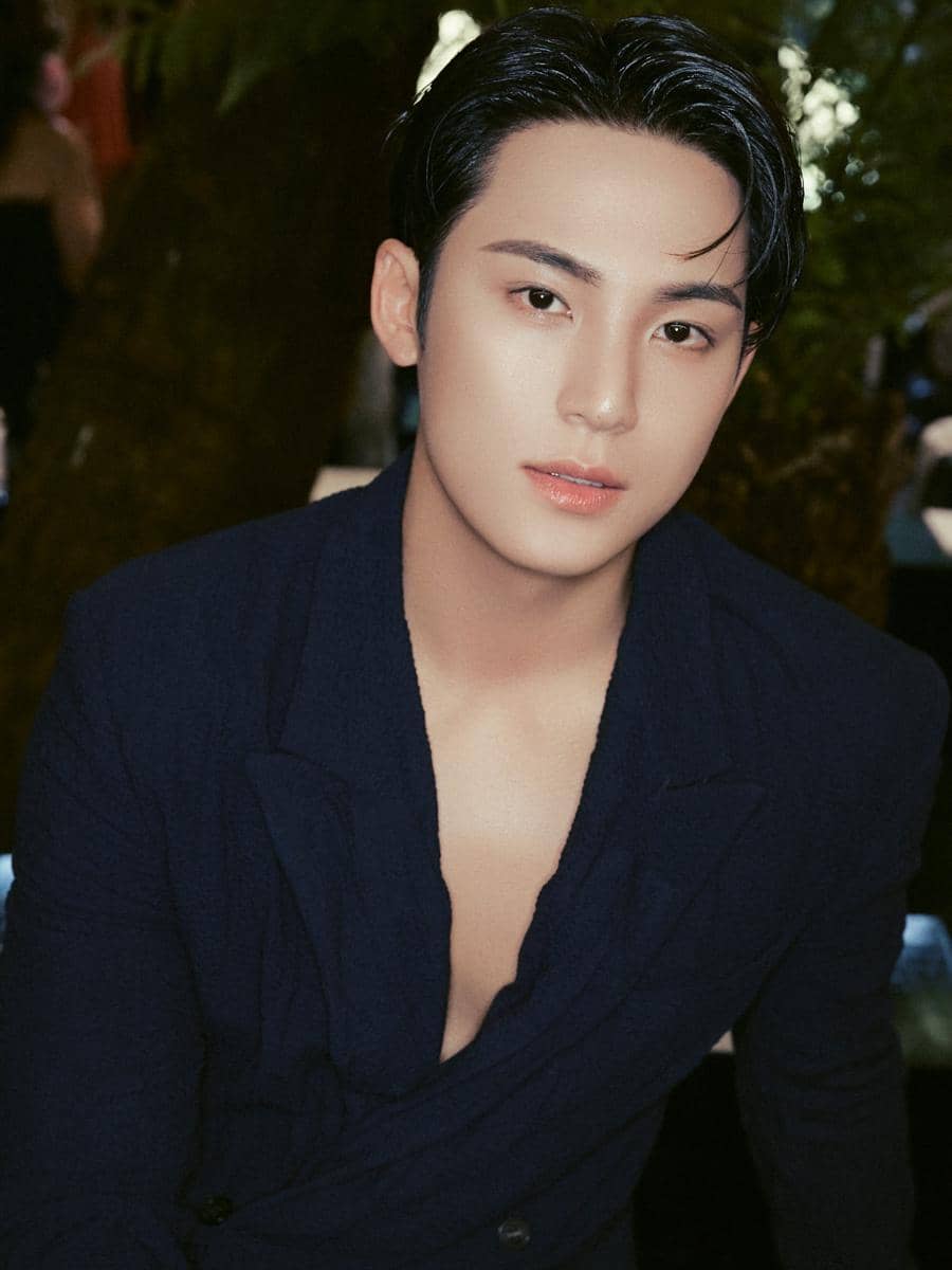 potret Mingyu SEVENTEEN