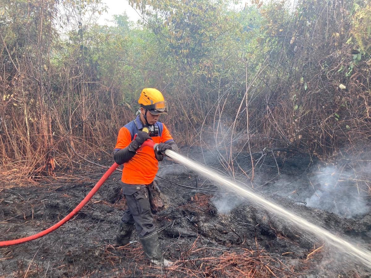 Kabut Asap Belum Reda, Pemprov Kalbar Bidik Korporasi Pembakar Lahan