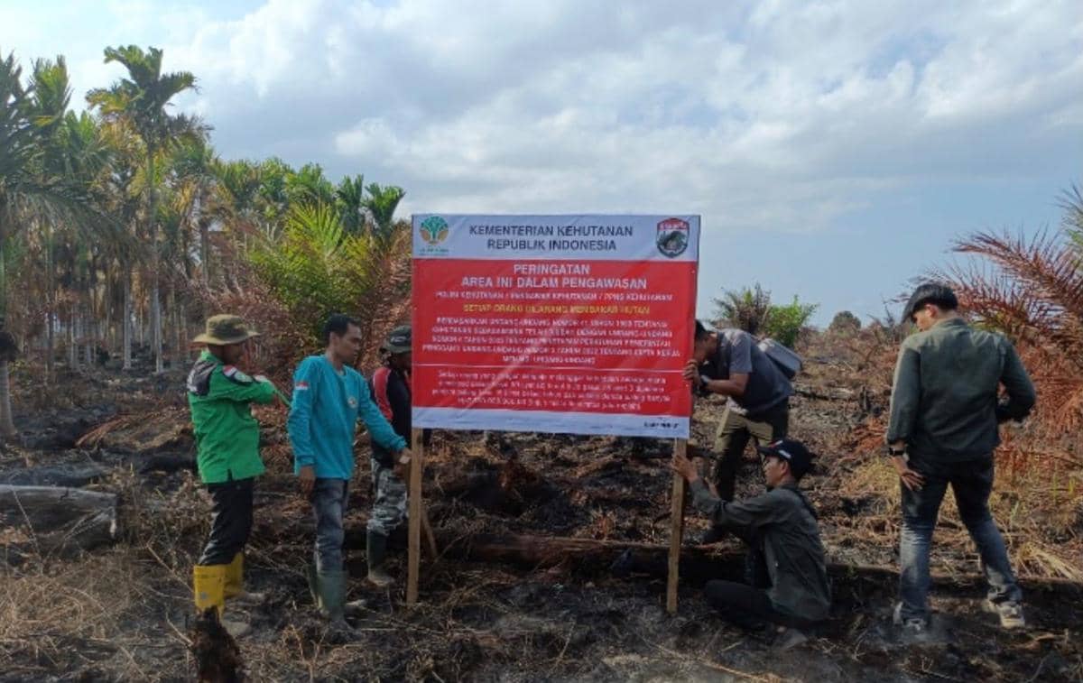 Kemenhut Segel Area Konsesi PT TCP di Muba yang Terbakar Karhutla