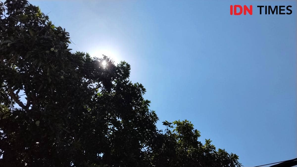 Cuaca Bali 19 Agustus 2026 Cerah Berawan, Badung Waspada Angin