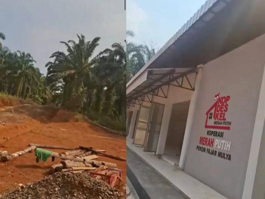 Cek Fakta Video Viral KDMP di Pringsewu Dibangun di Tengah Kebun