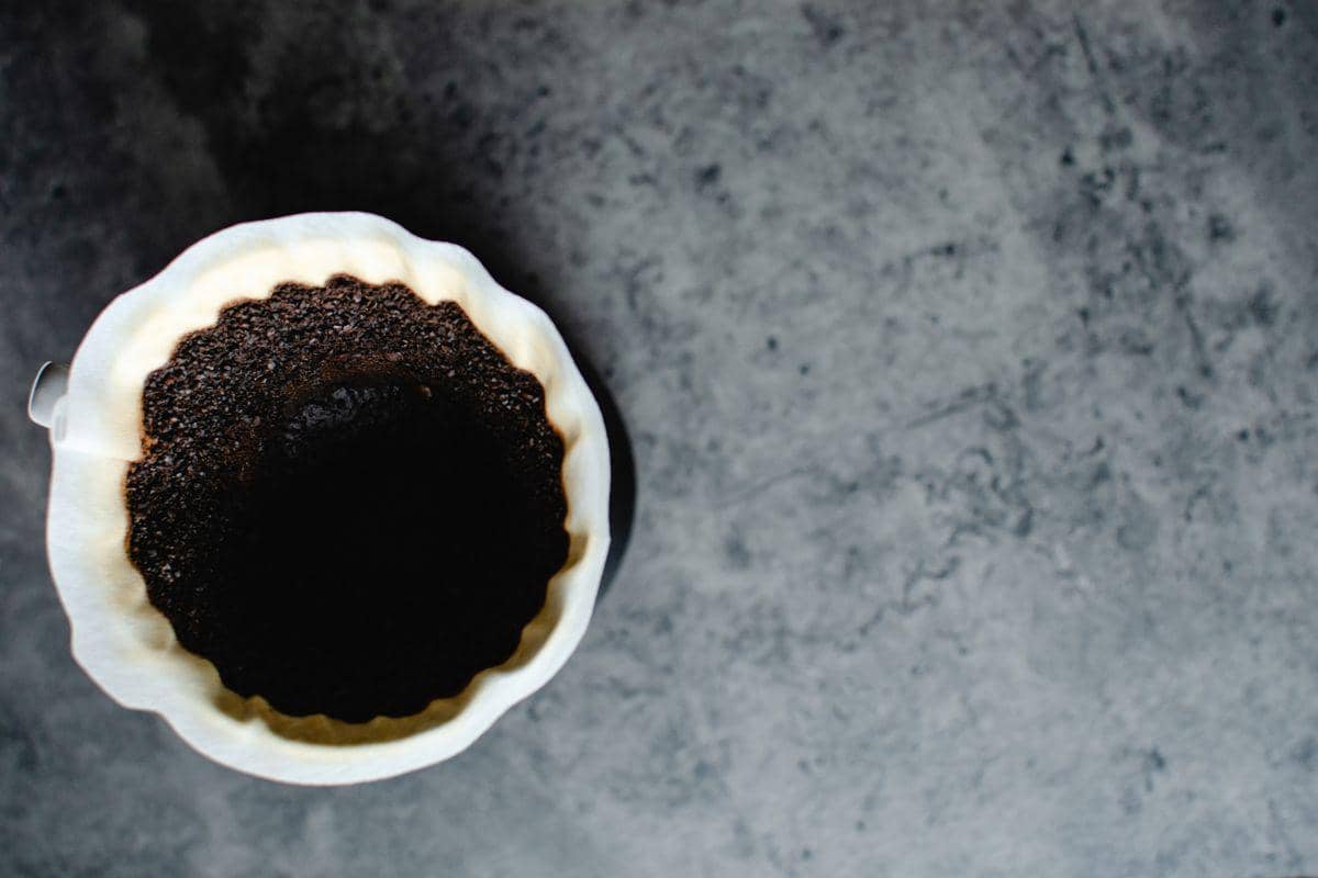 4 Trik Mengolah Bubuk Kopi Bekas Jadi Pengusir Hama