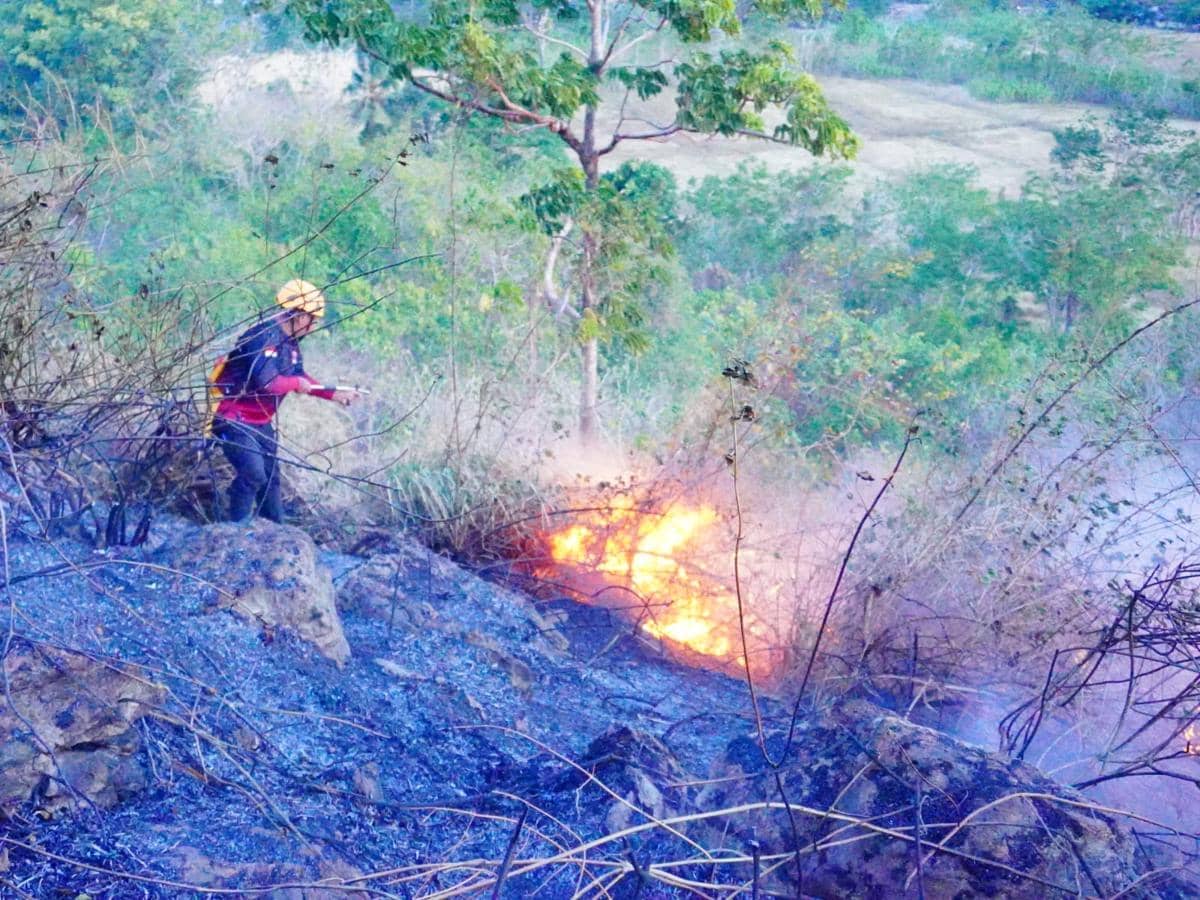 19 Hektare Lahan Terbakar di 3 Kabupaten dalam Sehari