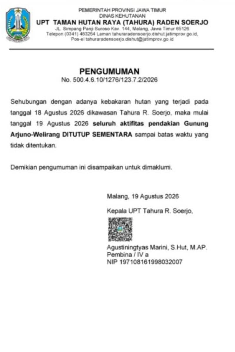 WhatsApp Image 2026-08-19 at 15.00.55.jpeg