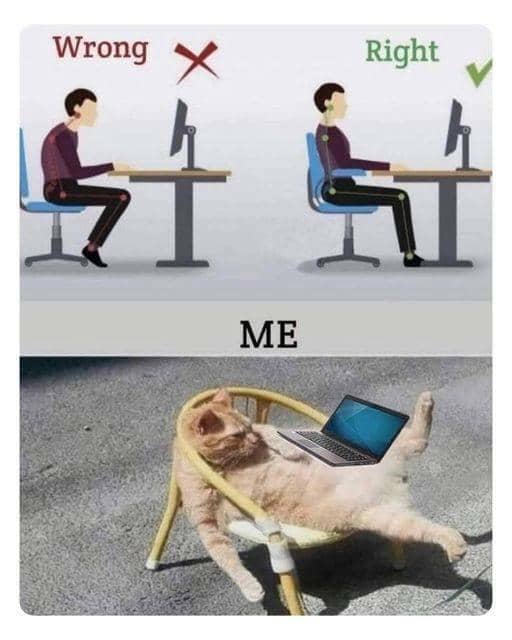meme kucing bersantai