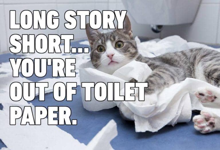 meme kucing tentang toilet
