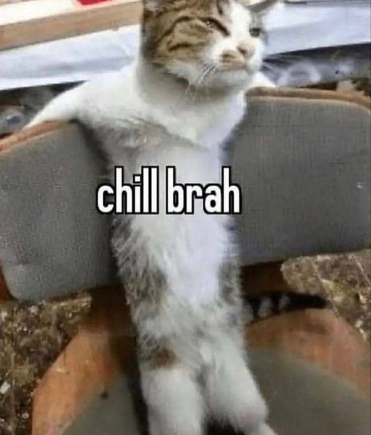 meme kucing bersantai