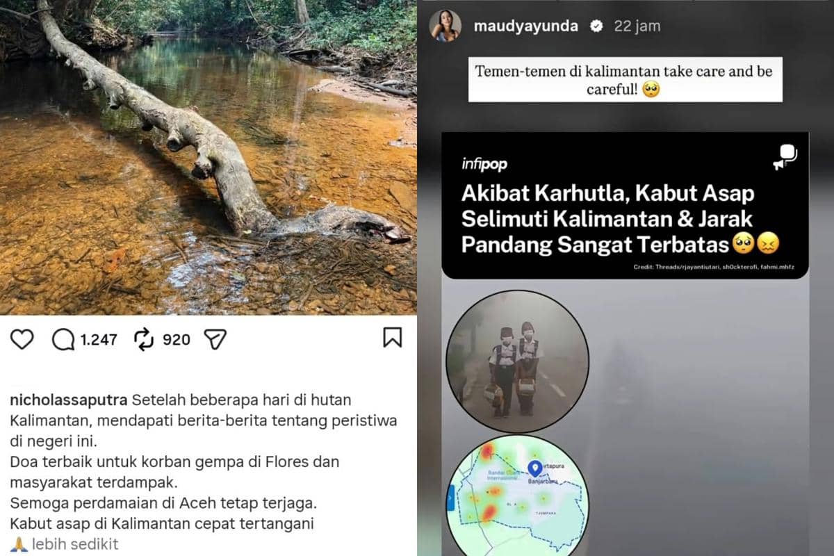 10 Artis Soroti Karhutla Kalimantan 2026, Nicsap hingga Maudy Ayunda