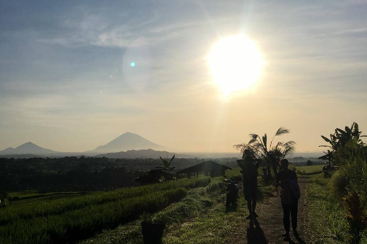 menyusuri area sawah Jatiluwih (dok.pribadi/Natalia Indah)
