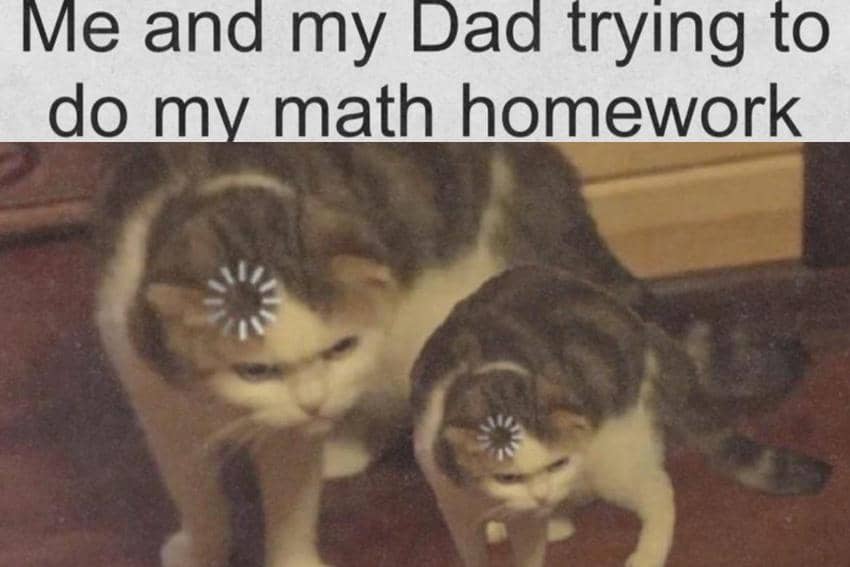 8 Meme Kucing tentang PR, Tugas Matematika Bikin Puyeng!