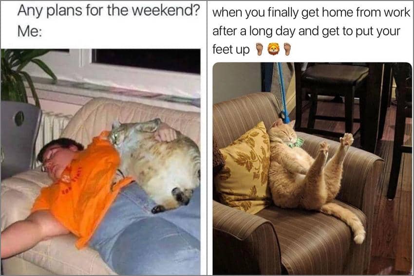 8 Meme Kucing Bersantai, Tidur Bareng Babu Udah Paling Bener
