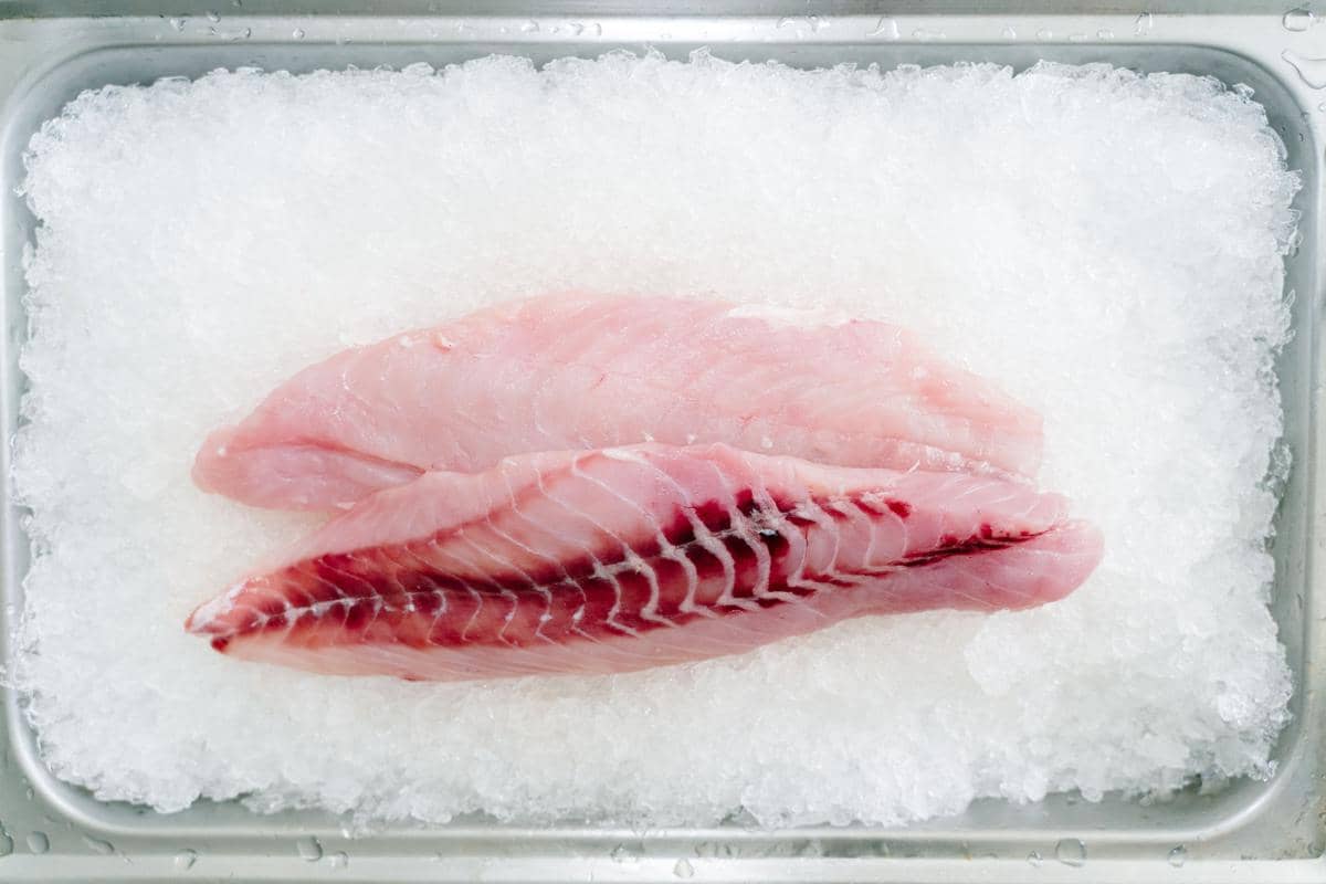 Ilustrasi ikan fillet sebagai bahan makanan laut yang siap diolah menjadi beragam hidangan sehari-hari.