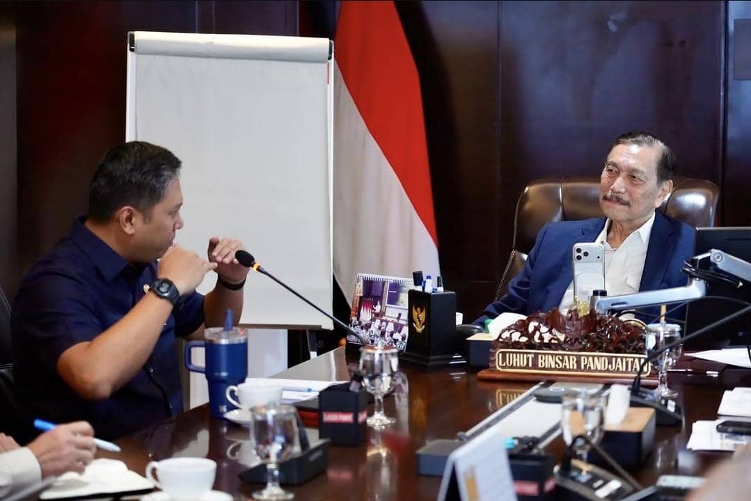 Luhut Pandjaitan, MBG, BGN