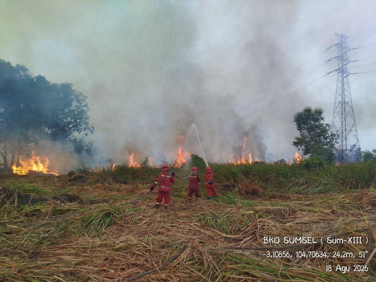 Petugas Manggala Agni memadamkan kebakaran hutan dan lahan di Sungai Rambutan, Indralaya Utara, Ogan Ilir.