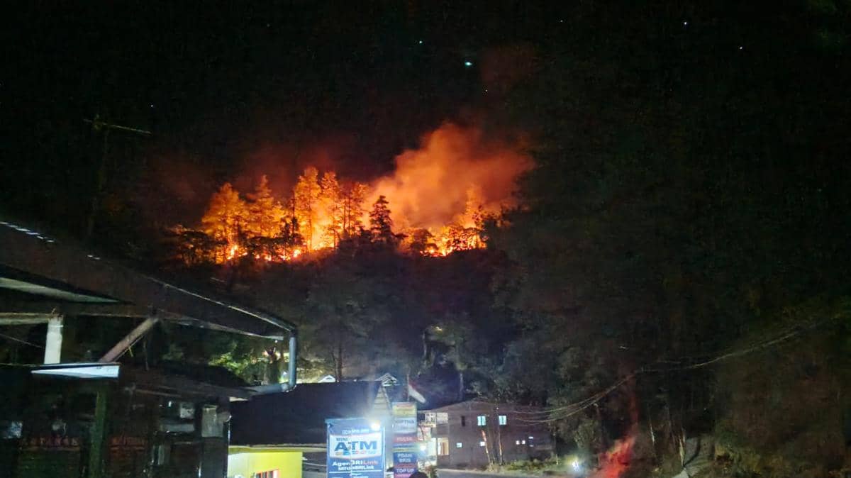 Kebakaran Hanguskan 1,5 Hektare Kawasan Taman Wisata Alam Malino