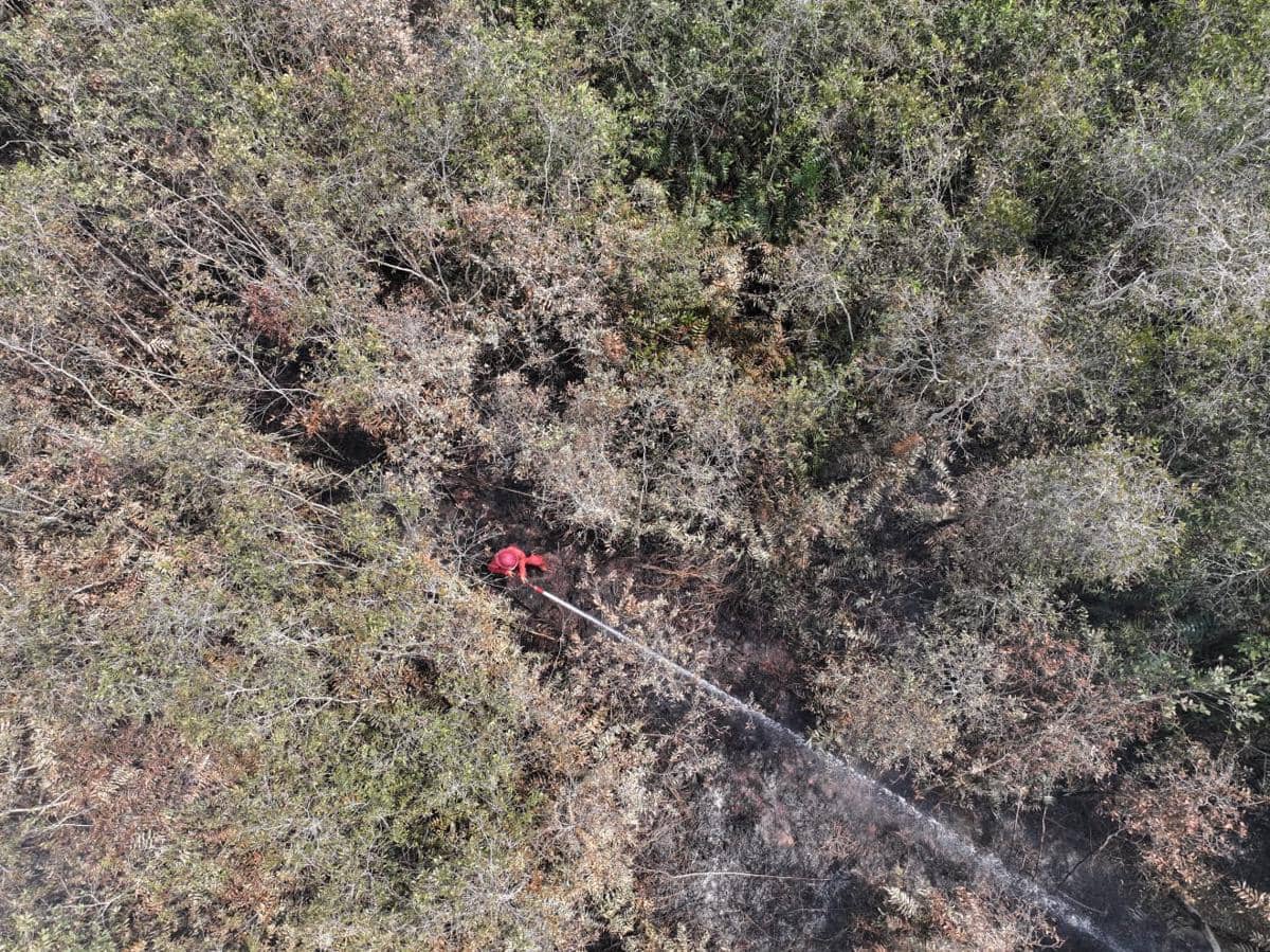 Petugas Manggala Agni memadamkan kebakaran hutan dan lahan di Pangkalan Lampam, Ogan Komering Ilir, Rabu.