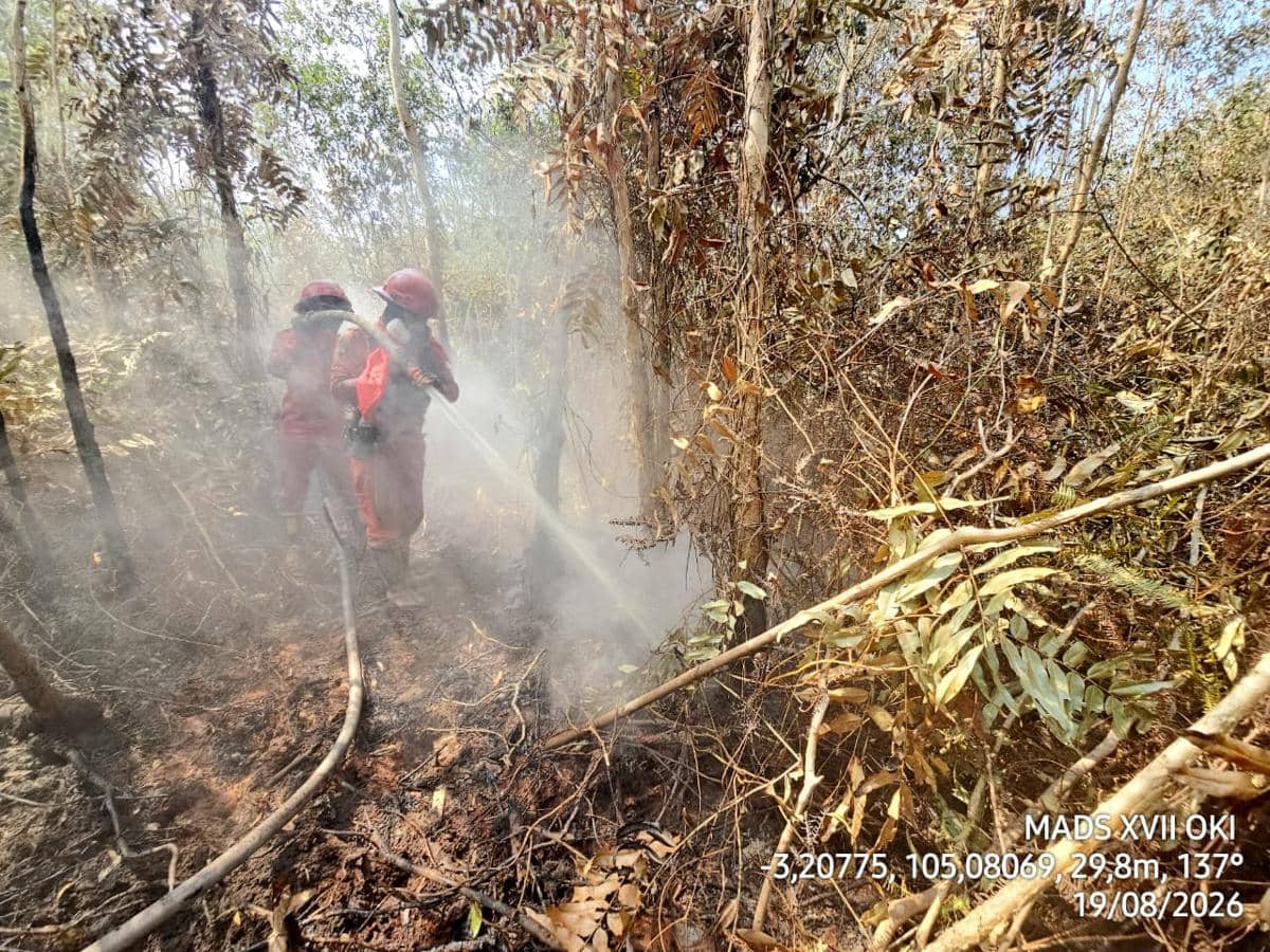 Petugas Manggala Agni melakukan pemadaman kebakaran hutan dan lahan di Pangkalan Lampam, Ogan Komering Ilir.