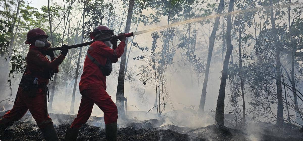 Karhutla Muara Medak Hanguskan 115 Hektare, Krisis Air Hambat Pemadaman