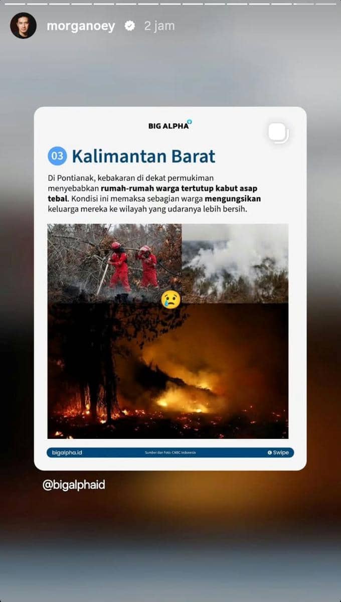 Morgan Oey suarakan kebakaran di Kalimantan